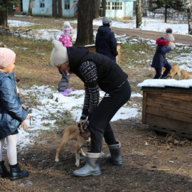 Помощь приюту бездомных животных