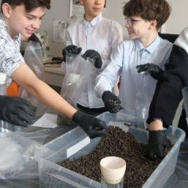 Эксперименты в СибГИУ