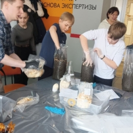 Эксперименты в СибГИУ