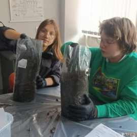 Эксперименты в СибГИУ