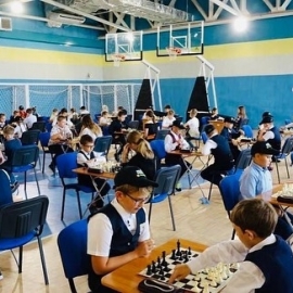 Областной шахматный фестиваль